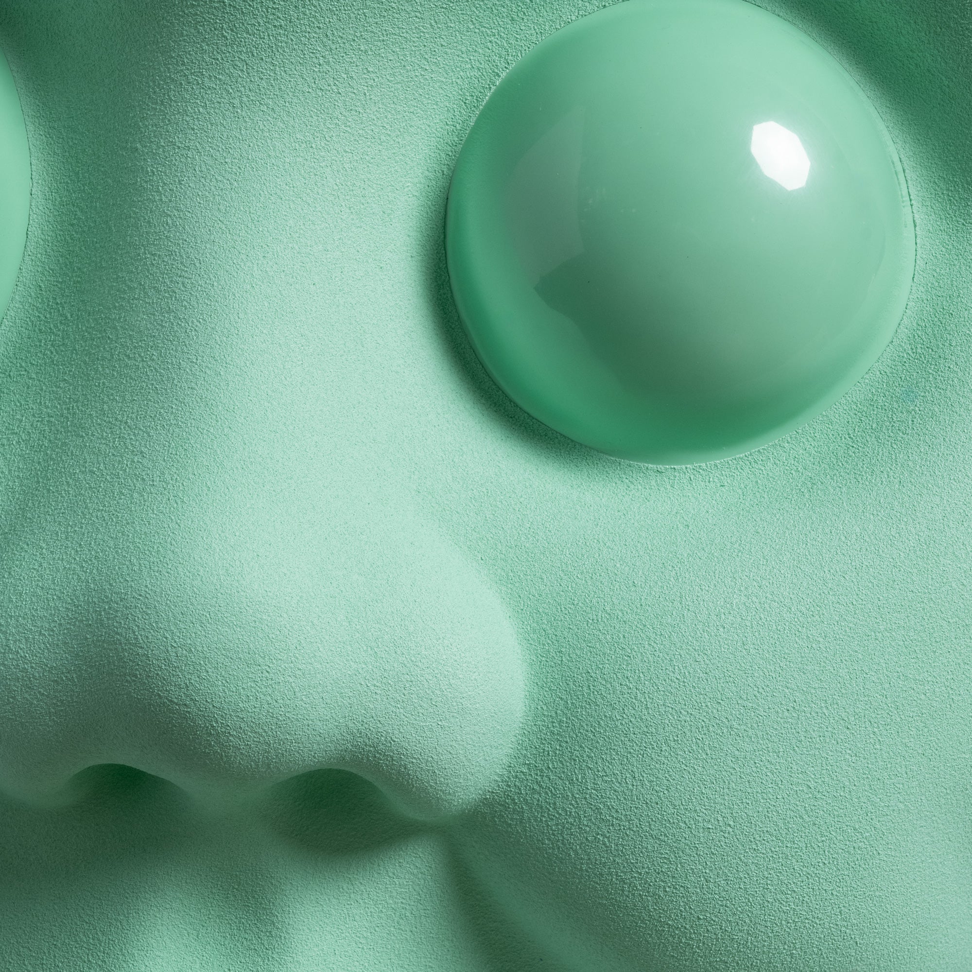 Baby Grande Macro - Image 3